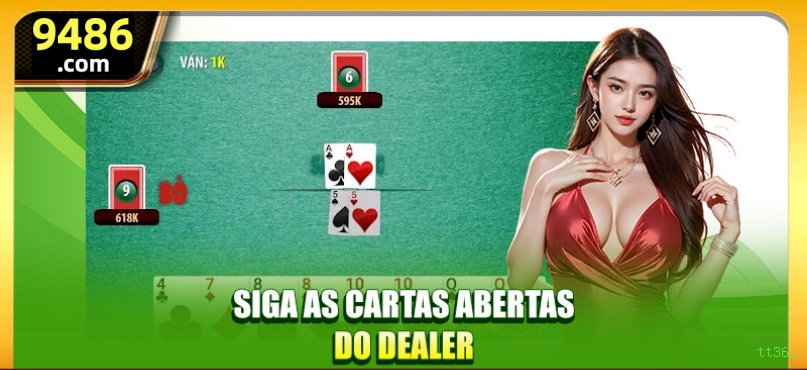 Suporte Qualidade tt365